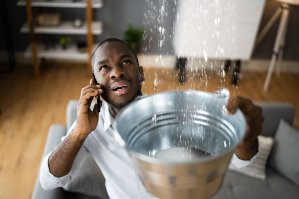 Best Mold removal after water damage  in Heber Springs, AR