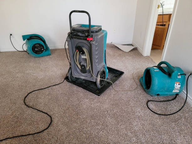 Best Water damage restoration services  in Heber Springs, AR
