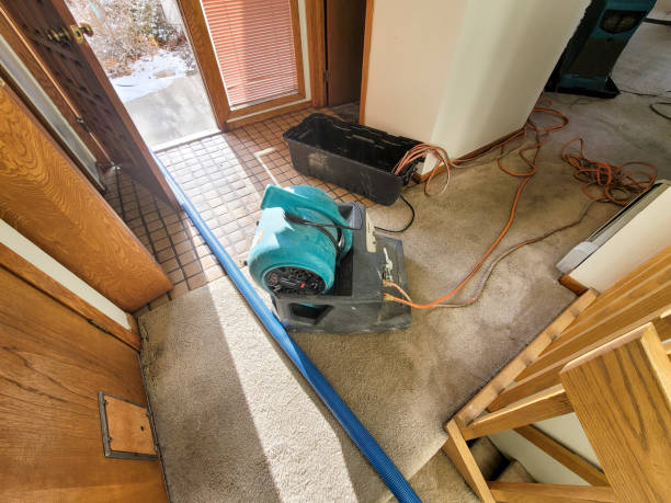 Water damage restoration mold remediation in AR
