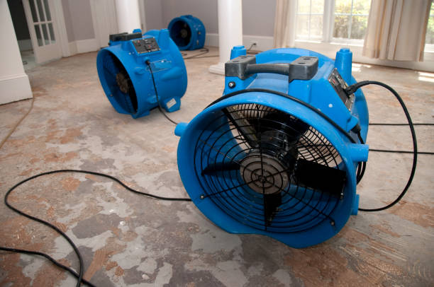 Water damage restoration insurance claims in AR