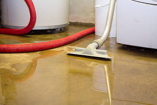 Best Carpet water damage restoration  in Heber Springs, AR