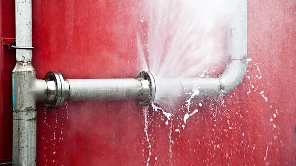 Best Professional water damage repair  in Heber Springs, AR
